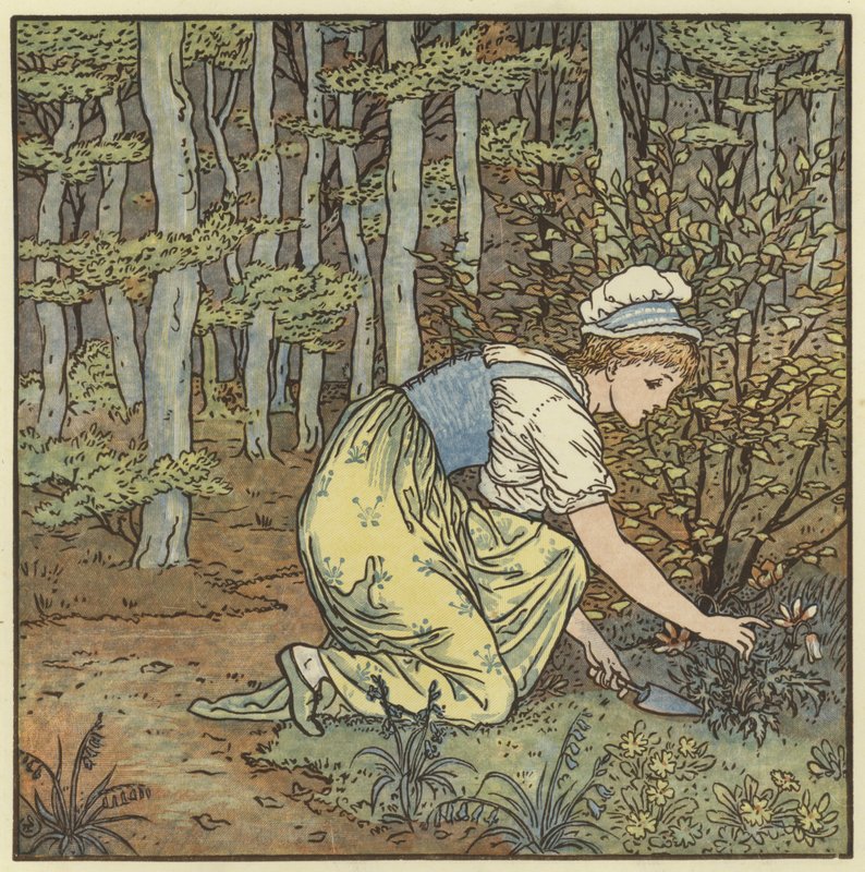 Nalezeno od Walter Crane