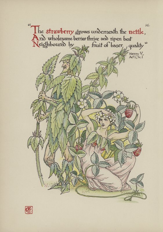 Květiny ze Shakespearovy zahrady od Walter Crane