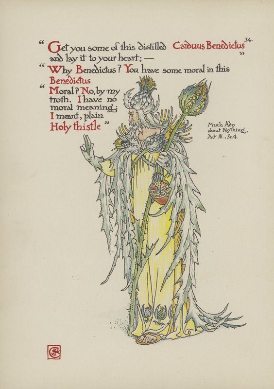 Květiny ze Shakespearovy zahrady od Walter Crane