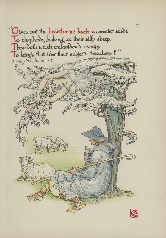 Květiny ze Shakespearovy zahrady od Walter Crane