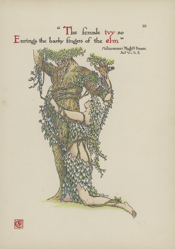 Květiny ze Shakespearovy zahrady od Walter Crane
