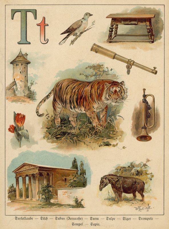 Písmeno T (chromolitho) od Walter Zweigle