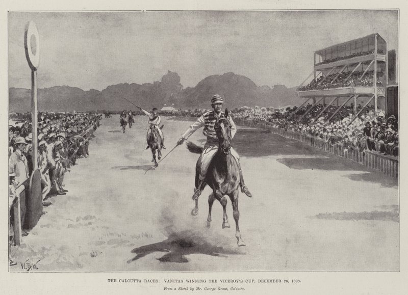 The Calcutta Races, Vanitas vyhrál Viceroy