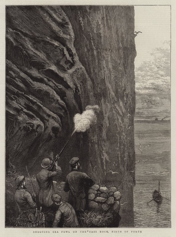 Střelba mořských ptáků na Bass Rock, Firth of Forth od William Bazett Murray