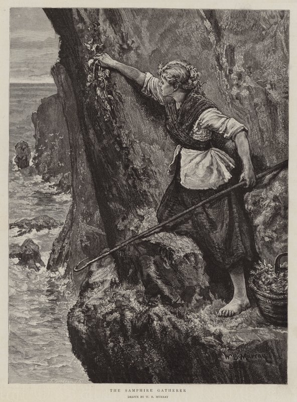 Sběratel samfírů od William Bazett Murray