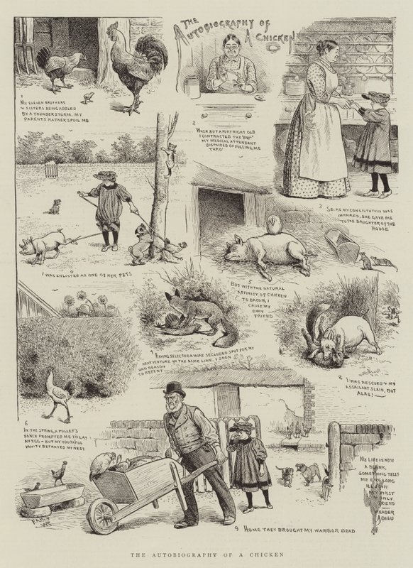 Autobiografie kuřete od William Ralston