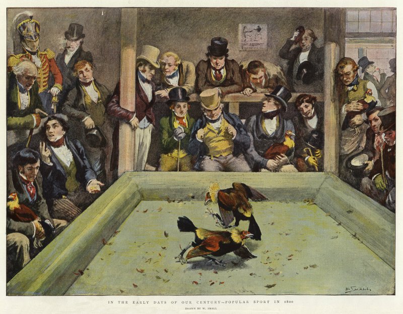 V prvních dnech našeho století populární sport v roce 1800 od William Small