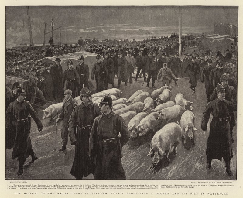 The Dispute in the Bacon Trade in Ireland, Policie chrání Drover and his pigs in Waterford od William Small