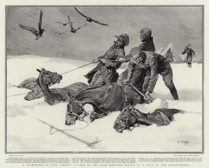 Sněhová bouře v Cape Colony, Camp of the Cape Mounted Rifles na výběžku Drakensberg od William T. Maud