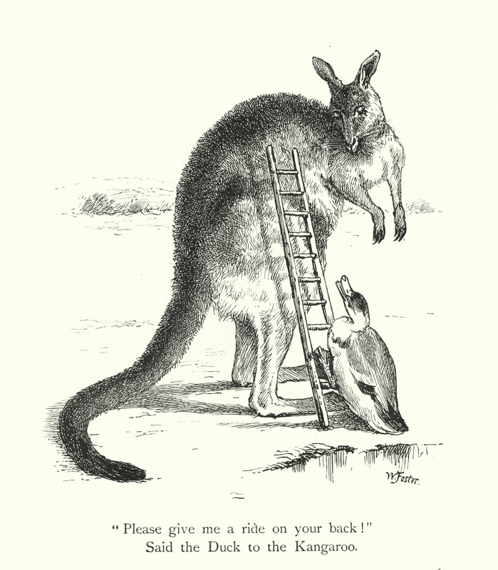 The Duck And The Kangaroo (rytina) od William Foster