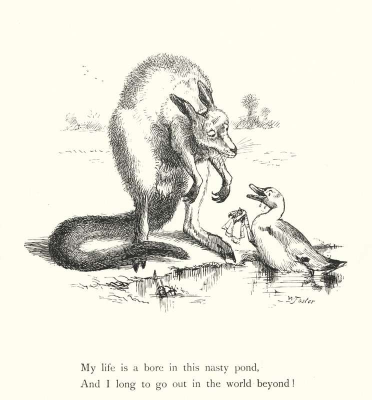 The Duck And The Kangaroo (rytina) od William Foster