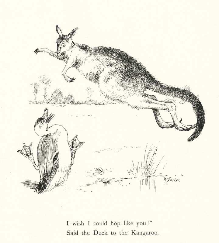The Duck And The Kangaroo (rytina) od William Foster