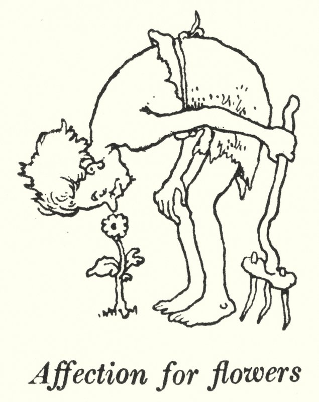 Náklonnost ke květinám (litho) od William Heath Robinson