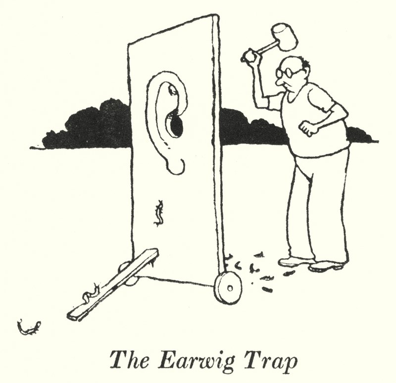 The Earwig Trap (litho) od William Heath Robinson