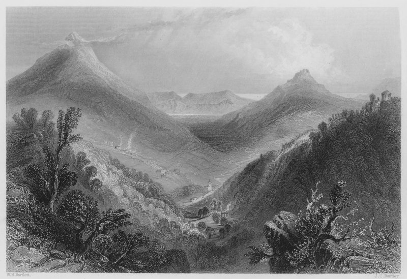 Glen of the Downs (rytina) od William Henry (after) Bartlett