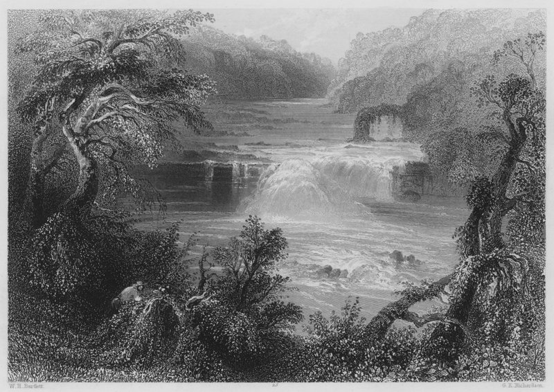Salmon Leap at Leixlip (rytina) od William Henry (after) Bartlett
