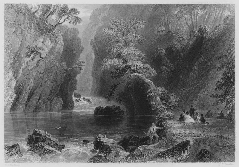 The Dargle (rytina) od William Henry (after) Bartlett