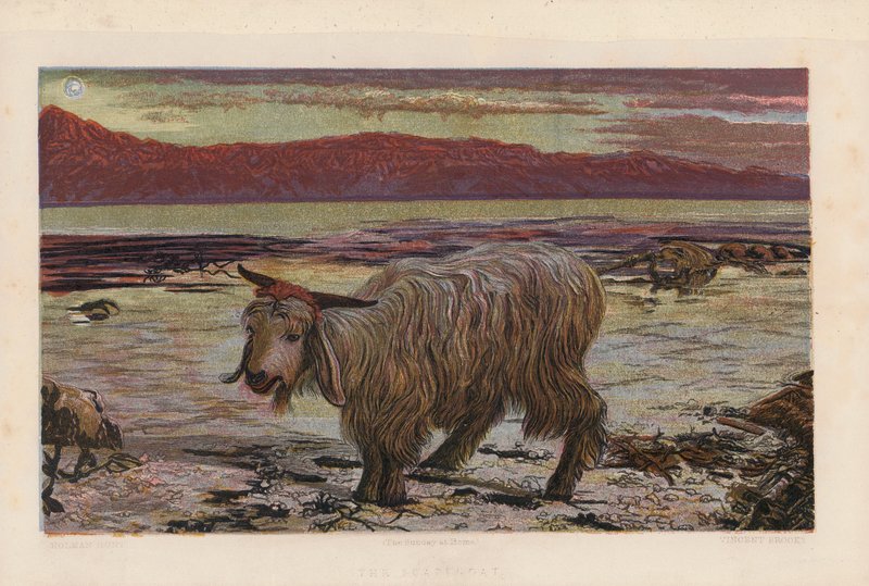 Obětní beránek (barevná litografie) od William Holman (after) Hunt
