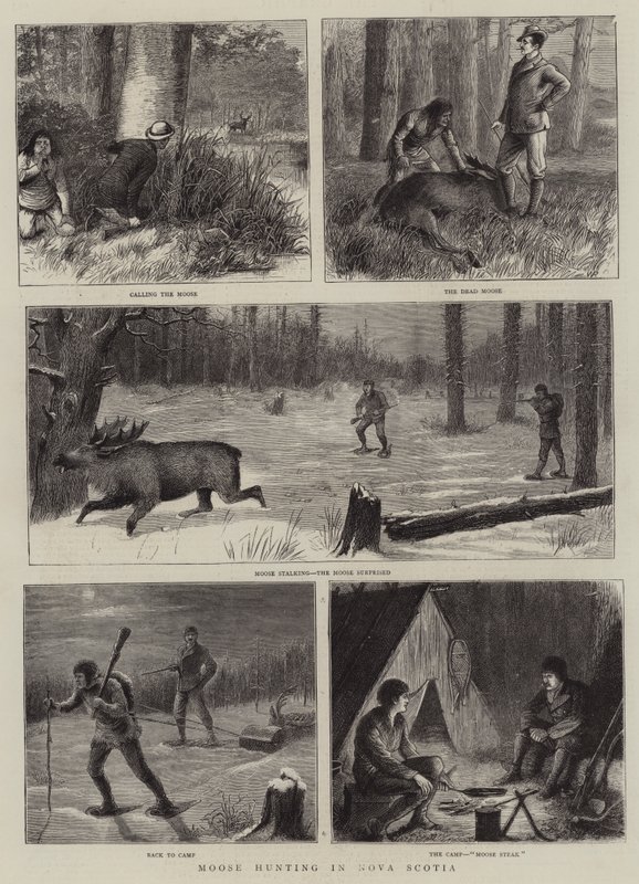Lov losů v Novém Skotsku od William Ralston