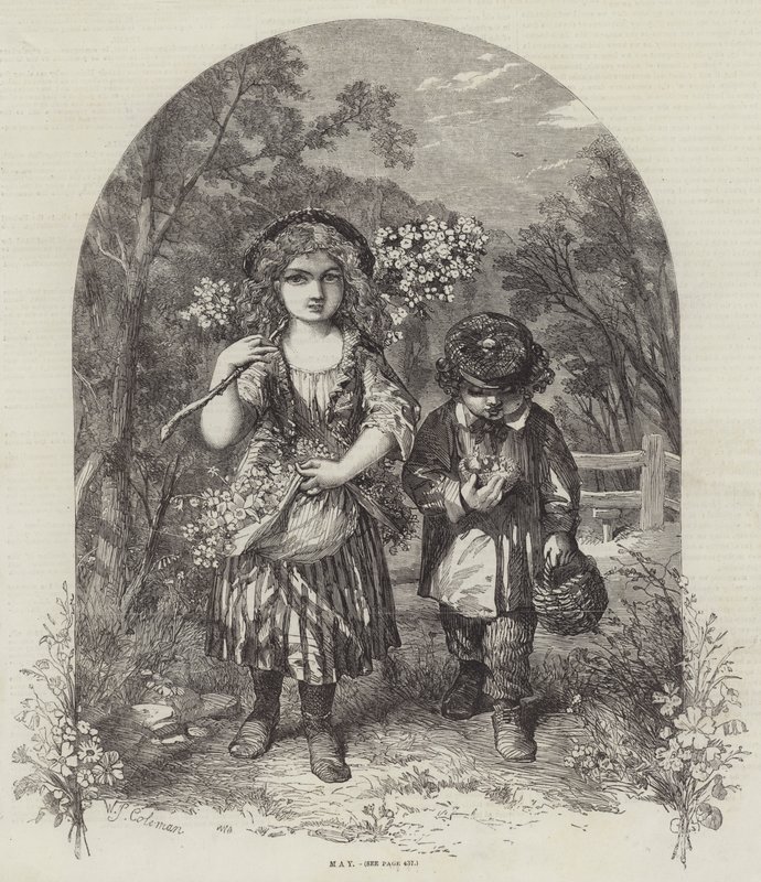 Smět od William Stephen Coleman