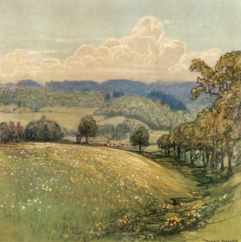 Sussex od after Donald Maxwell