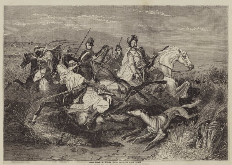 Lov divočáků v Africe od after Horace Vernet