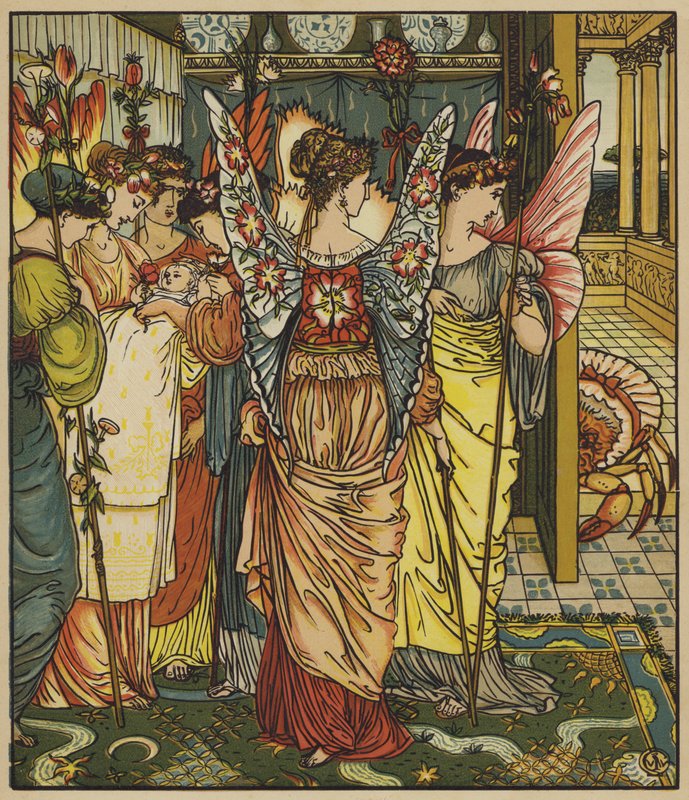 Vzhled kraba víla od after Walter Crane